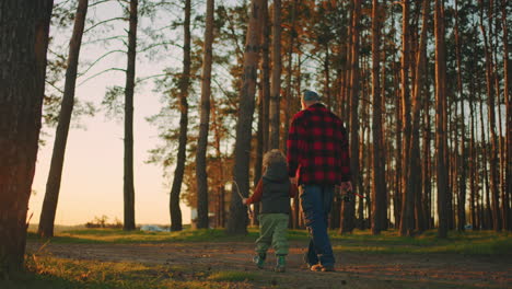 little boy and his father or granddad are walking in pinery in morning or sunset going to fishing