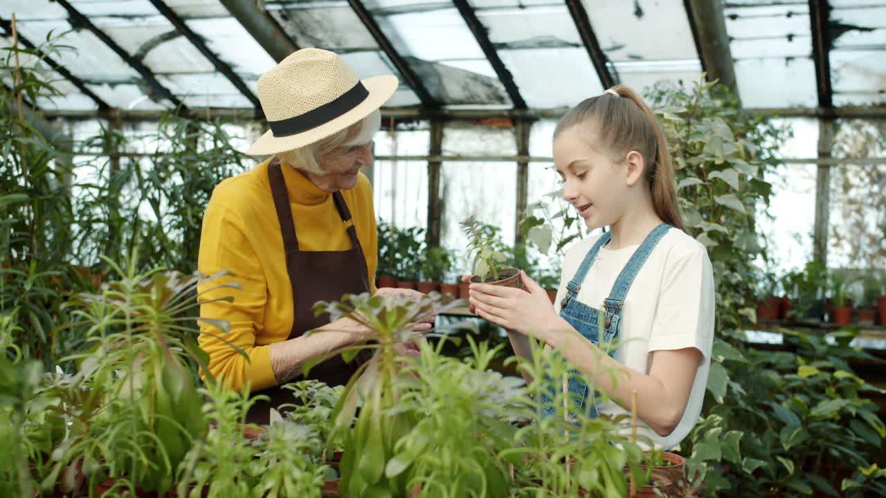 Grandmother and Granddaughter in Greenhouse