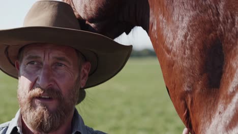Cowboy and Horse