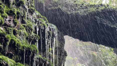 little waterfall in a forest, cecilia forest, kirstenbosch botanical gardens cape town