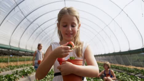 Mädchen-Untersucht-Erdbeeren-Auf-Dem-Bauernhof-4k