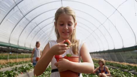 girl examining strawberries in the farm 4k