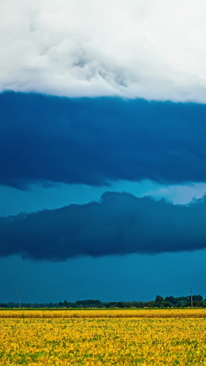 Timelapse of dramatic blue storm clouds sweeping above a glowing golden field in striking contrast in Latvia
