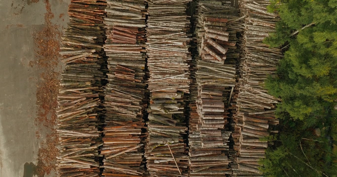 Top down close up aerial view of rows of logs neatly piled at a forestry site, illustrating timber harvesting, forest management, wood production and sustainable resource use in Sweden.