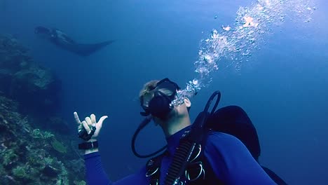 scuba diver interacts with a curious giant manta in the water