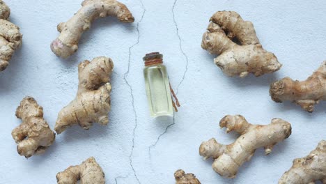 raíces de jengibre y aceite