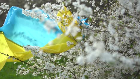 Bandera-De-Ucrania-Amarilla-Y-Azul-En-Un-Jardín-De-Flores.