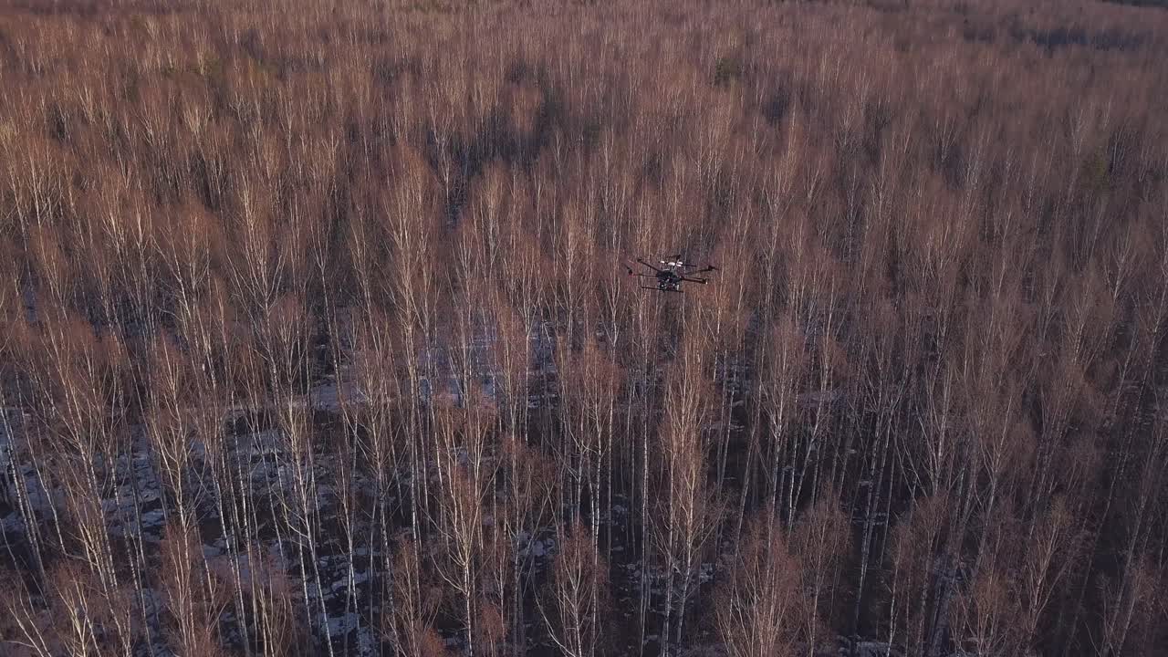 Drone che vola su una foresta invernale