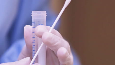 doctor places a covid-19 test swab into a swab tube, extreme close up shot.