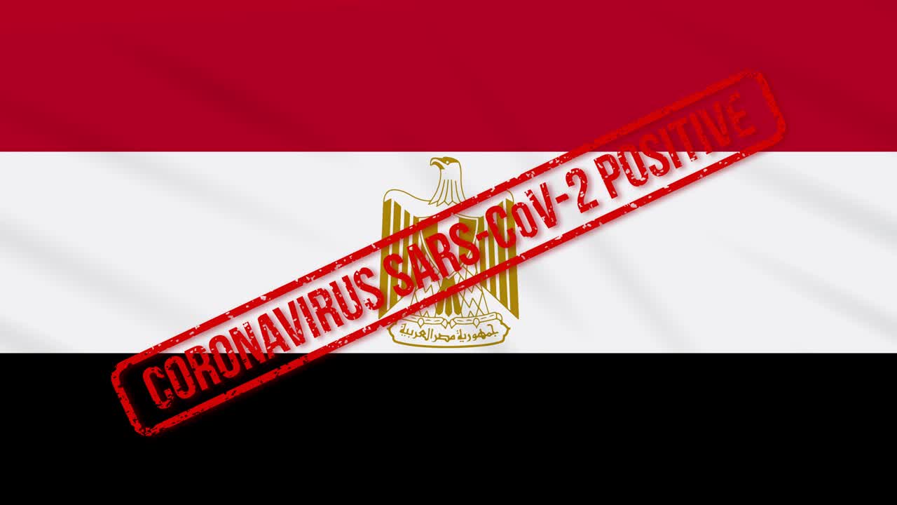 エジプトの国旗はcovid-19 に対するポジティブな反応でスタンプされています