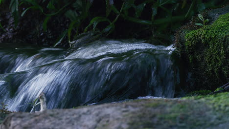 Water-flowing-in-rapids,-close-up