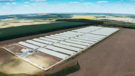 overhead view of poultry farm. poultry farm building in rural area from above