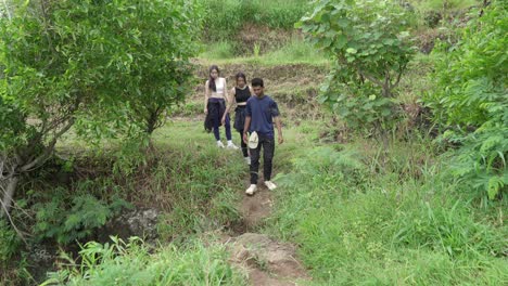 people hiking in a lush tropical forest