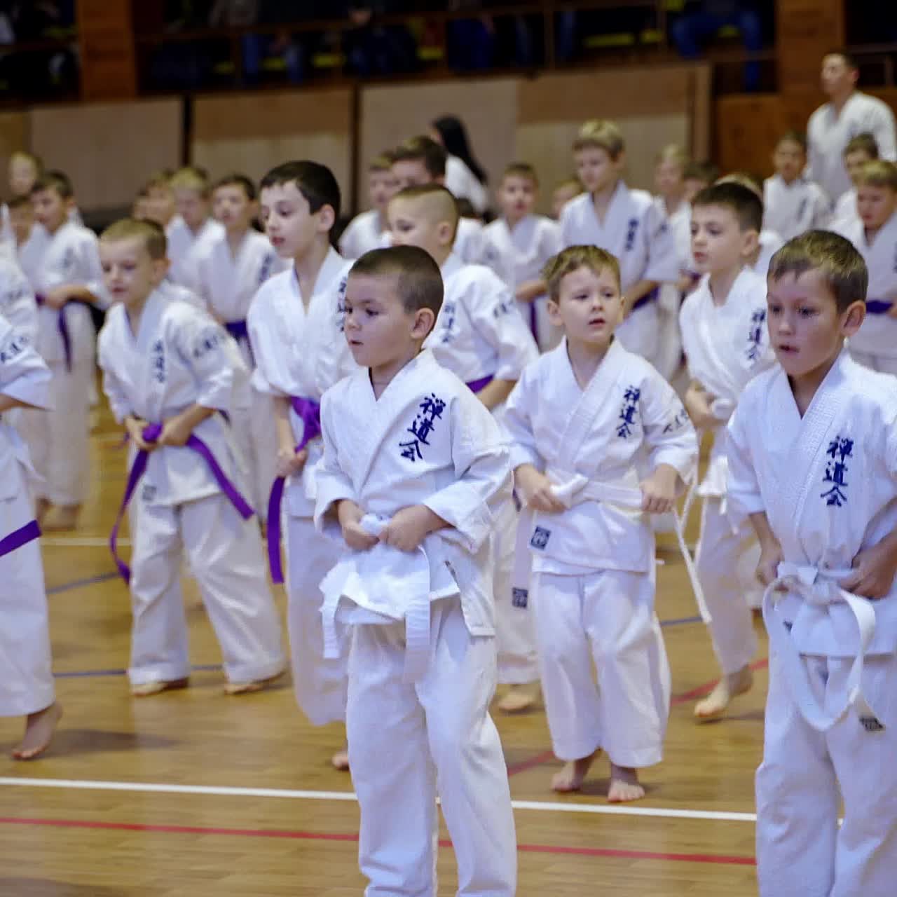 Warming up for little boys wearing kimonos and different belts. Kids jump from side to side. Spectators at the background