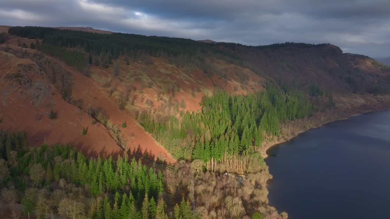 Morning light striking lakeside trees next to dark lake in winter. Lake District, Cumbria, UK.