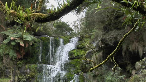 a waterfall flows through a lush tropical rain forest