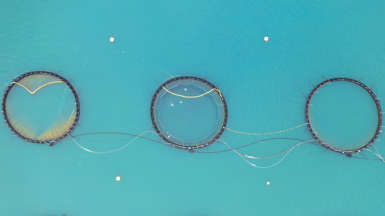 노르웨이에서 연어  ⁇ 시를 하는 공중 촬영