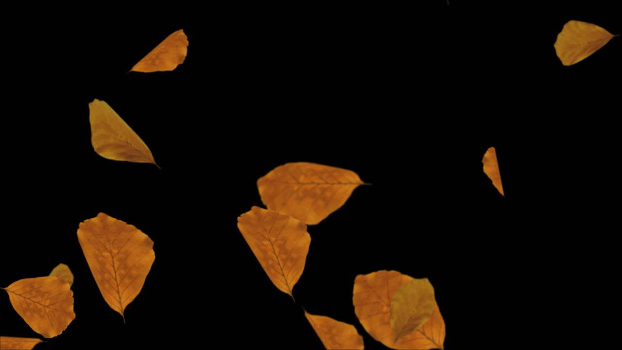 Abstract autumn maple leaves falling 4k animation loop background kchestnut linden rowan hornbeam