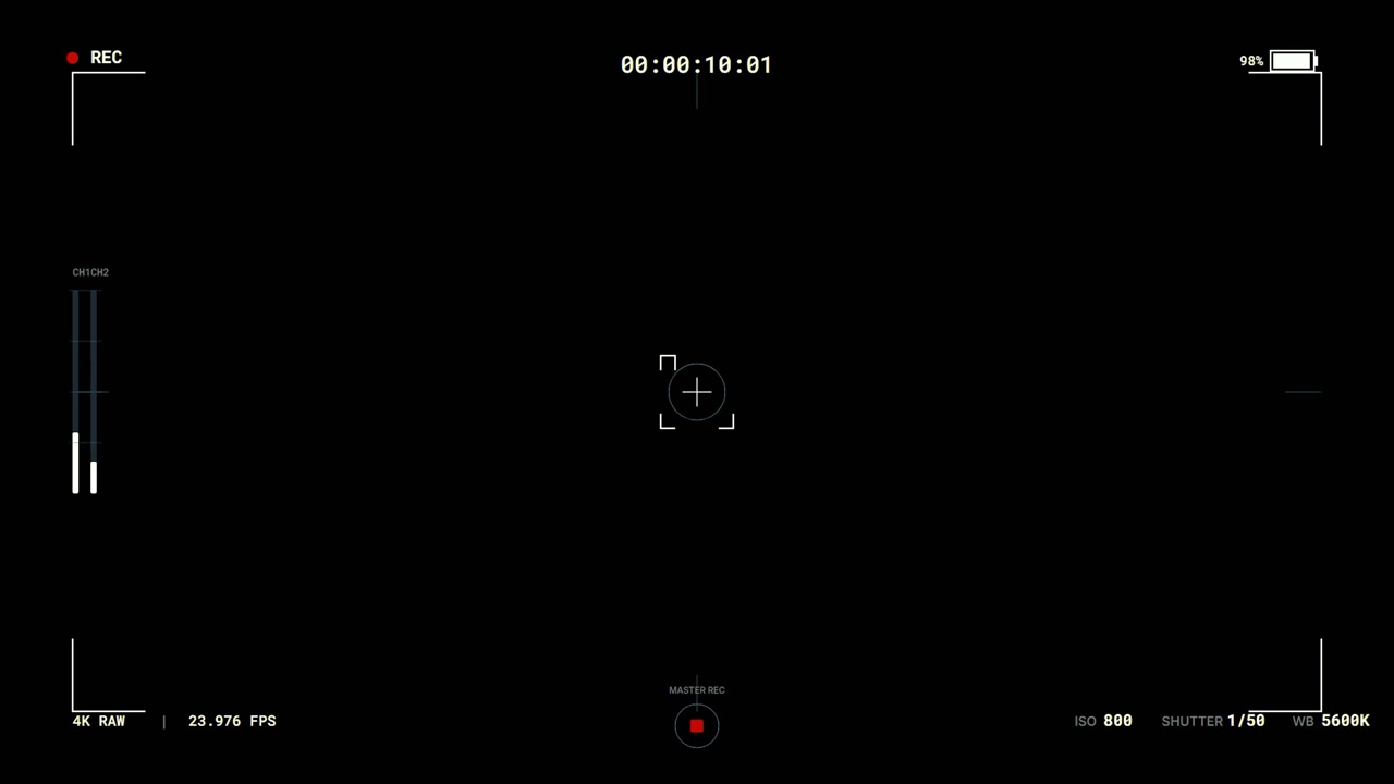 Digital Camera Viewfinder Overlay with Recording Interface