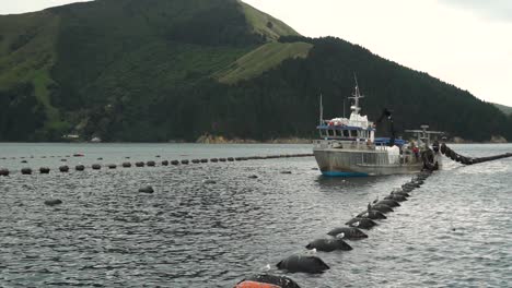 SLOWMO---New-Zealand-greenshell-mussel-farm-with-boat-harvesting