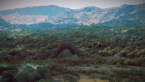 lush green landscape with rocky mountains during the day