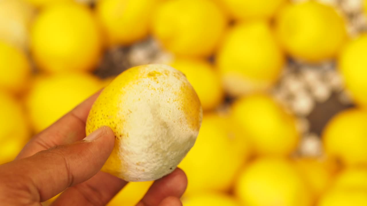 limón con moho