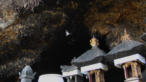 bats fly in and out of a large cave in bali indonesia