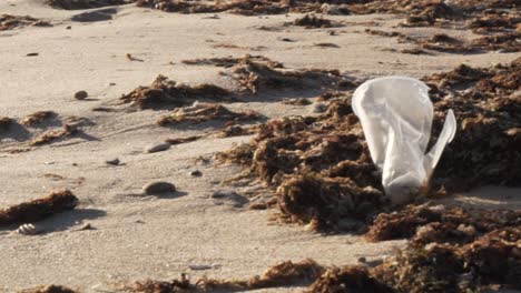 botella de plástico vieja tirada en una playa