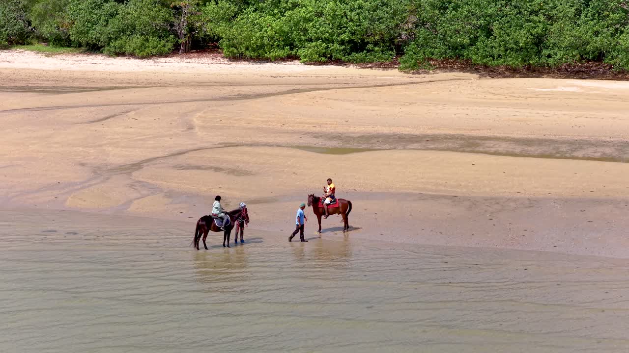 Sudut tinggi dengan bidikan lebar pengendara kuda berjalan melalui air dangkal di pantai tropis
