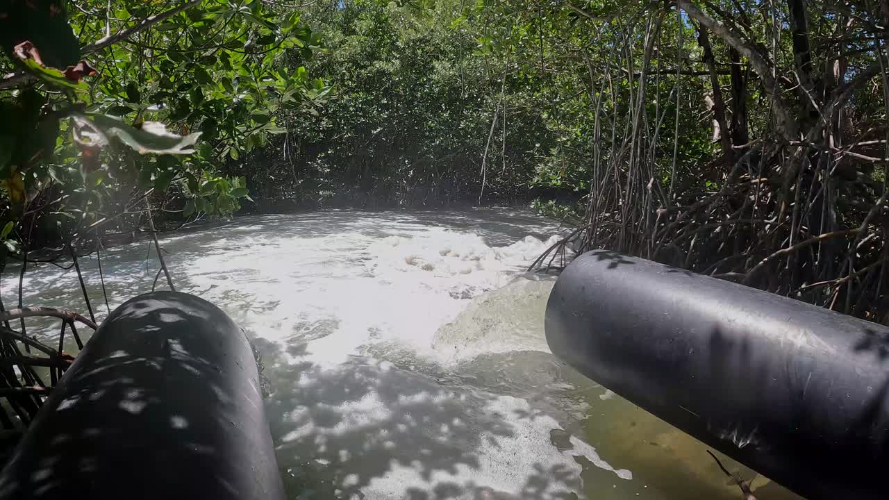 Barragem Liberando Água em Manguezais, Flórida
