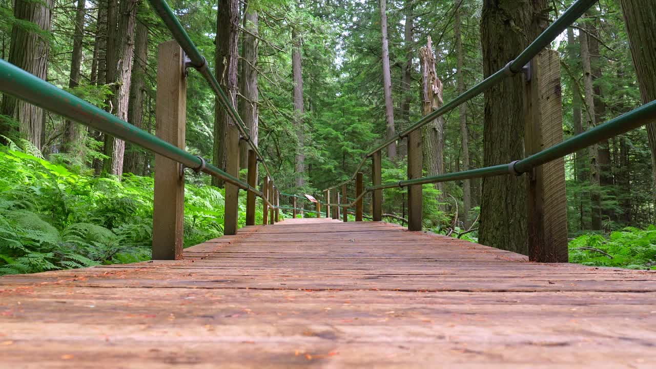 Pessoas caminhando em uma ponte de madeira em uma floresta