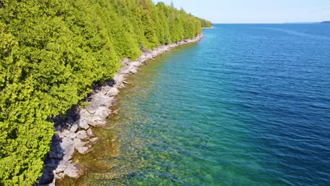 Green-forest-line-near-deep-fresh-water-lake,-aerial-view