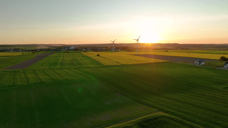 Aerial-view-of-a-rapeseed-field-with-two-wind-turbines-in-the-distance,-bathed-in-the-golden-light-of-the-setting-sun