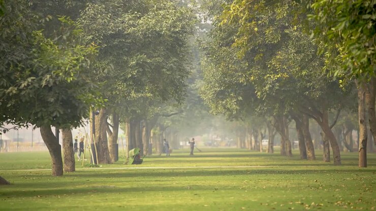 Beautiful Lawn of India gate