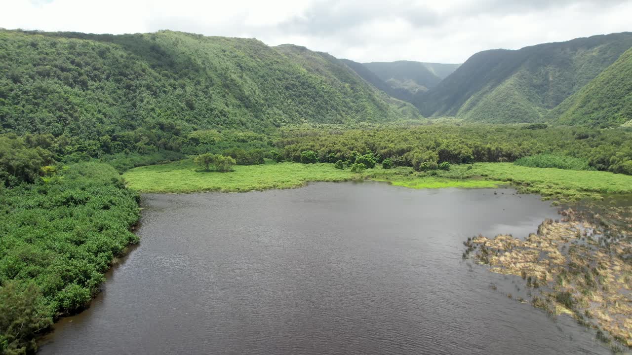elevación aérea sobre el pintoresco arroyo del valle de pololu en la isla grande de hawaii con paisaje de montaña verde