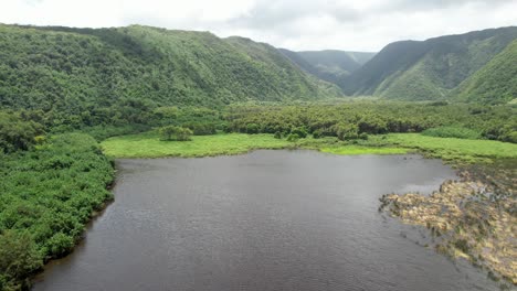 Aerial-Rising-Over-Scenic-Pololu-Valley-Stream-On-Big-Island-Hawaii-With-Green-Mountain-Landscape