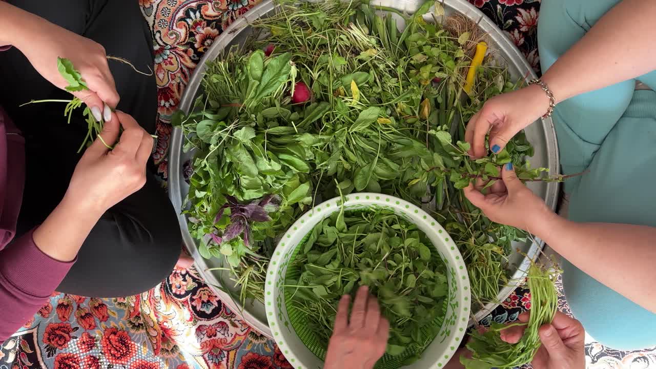 persian women in rural gilan village cleaning fresh green spinach vegetables on carpet tray with hands food preparation harvest farming local lifestyle healthy gourmet cuisine daytime gathering Tehran