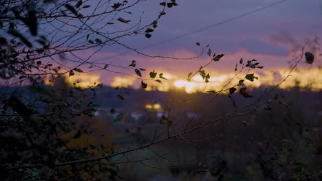 Thin-branches-with-most-of-the-leaves-fallen-off,-blowing-in-slow-motion-against-a-sunset-background