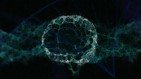 animación digital del cerebro humano y la estructura del adn girando contra un fondo azul