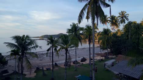 Palmtrees-Marvelous-aerial-top-view-flight-natural-beach-bay-thailand,-wood-pier-golden-hour,-lagoon-koh-kood-2022