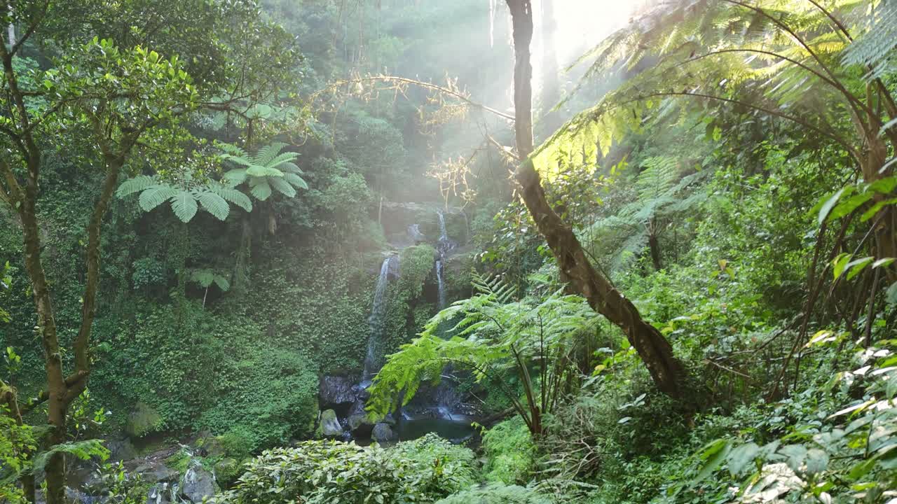 Scenic view of a tropical waterfall surrounded by lush green rainforest with sunlight streaming through the trees