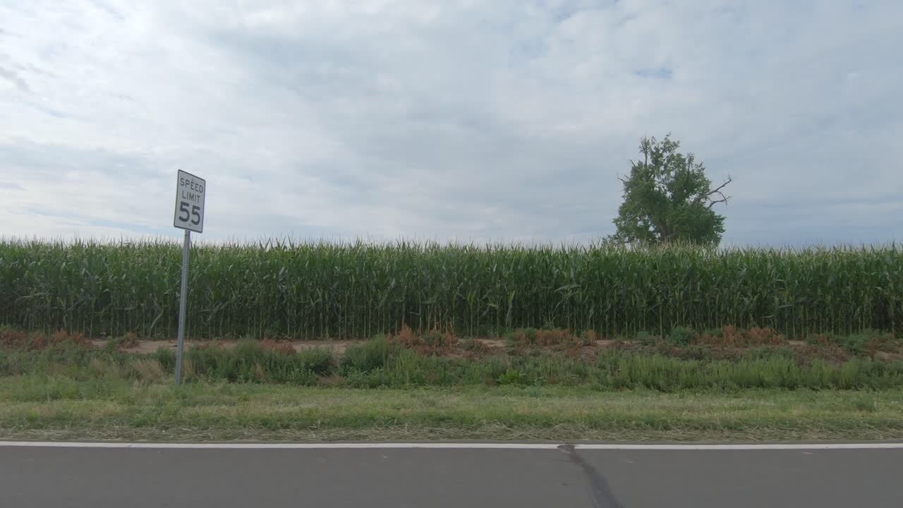 농작물이 경쟁하는 시골 길을 따라 드라이브