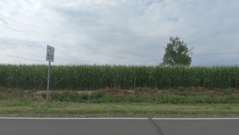 Eine-Fahrt-Entlang-Einer-Landstraße,-Während-Felder-Mit-Feldfrüchten-Vorbeirasen