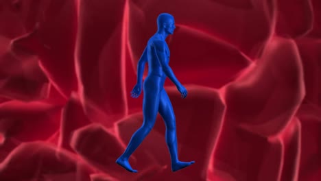 Animation-of-blue-human-figure-walking-and-3d-human-brain-spinning