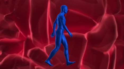 animation of blue human figure walking and 3d human brain spinning