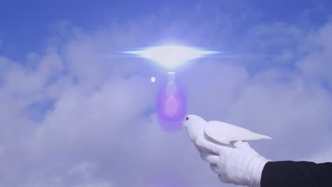 animation of light spots and clouds over pigeon in hands