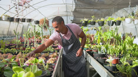 gardener in greenhouse tending to plants, wearing apron and smiling
