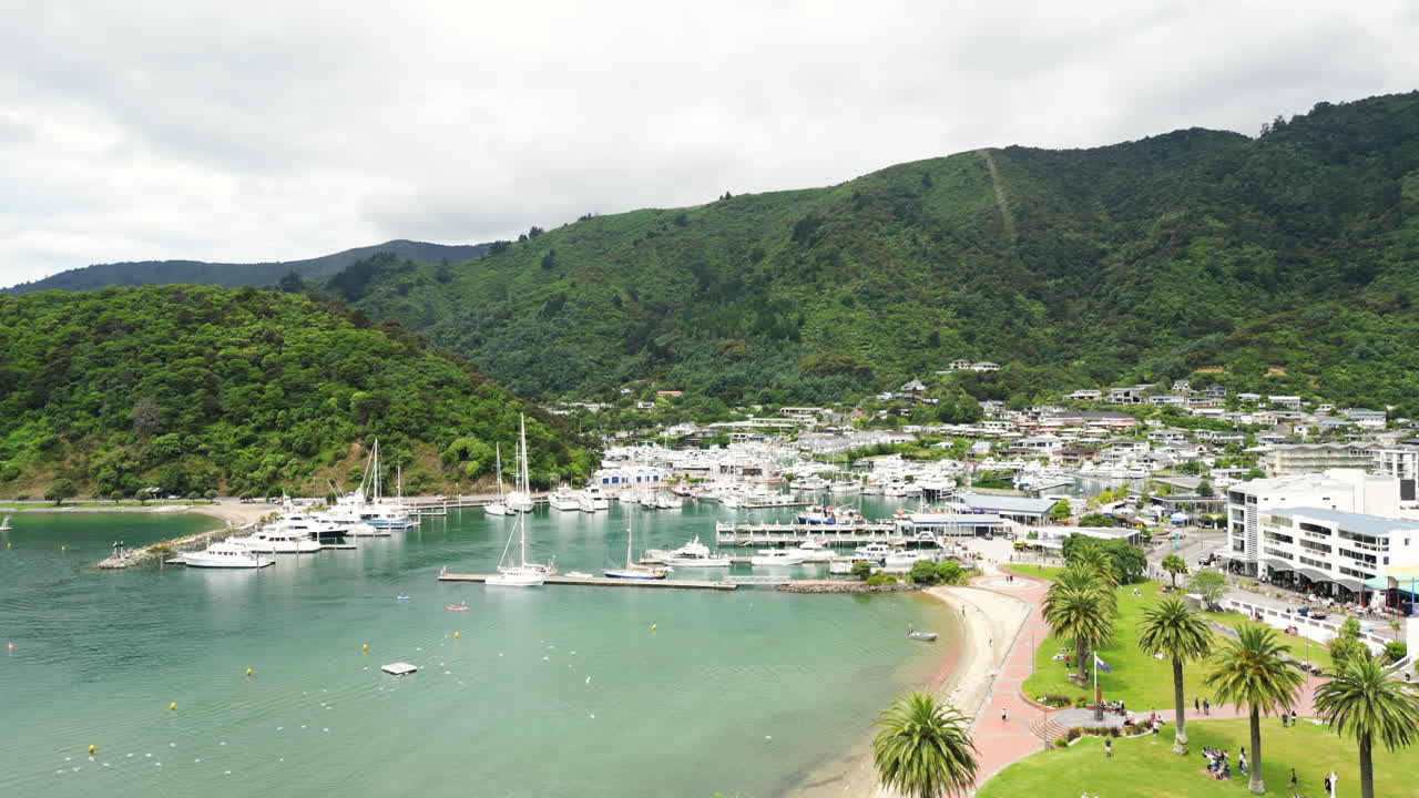 픽턴, 말보로, 뉴질랜드에 건물이 있는 작은 부두와 열대 야자수