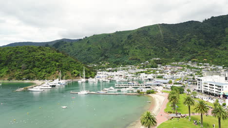 pequeño muelle y palmeras tropicales con edificios en picton, marlborough, nueva zelanda