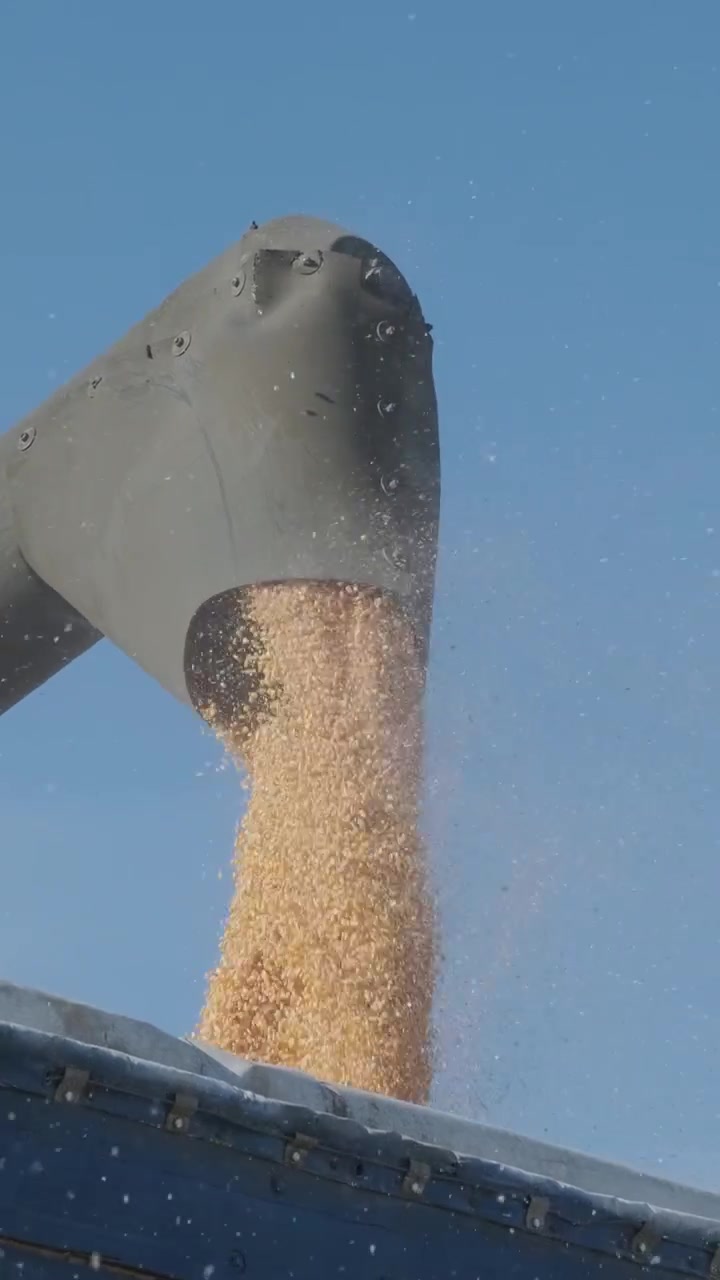 Moissonneuse-batteuse déchargeant du maïs récolté dans un camion à grains